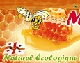 06-BaboCoverCD.jpg