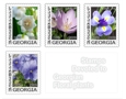 19-FloralStamp.jpg